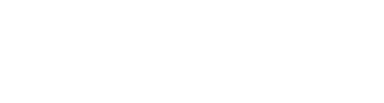 Vínculo